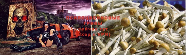 героин Карпинск