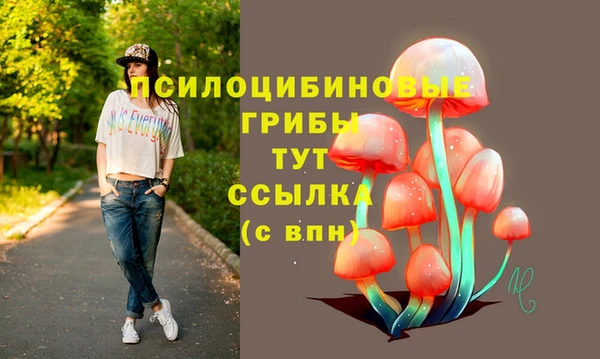героин Карпинск