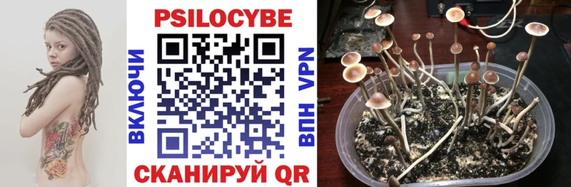 Галлюциногенные грибы Cubensis  Купить где  Мантурово 